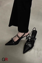 Thick Heel Ankle-strap Pointed Toe Chunky Heel Mary Jane Shoes